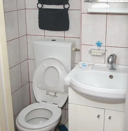 Central Luxurious Spacious בוקרשט